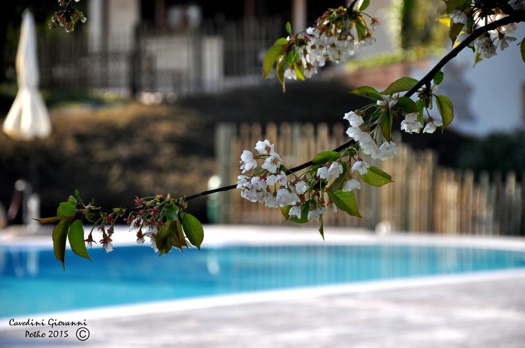 Agriturismo & Agricamping Serena Pastrengo Exterior photo